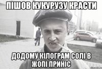 пішов кукурузу красти додому кілограм солі в жопі приніс