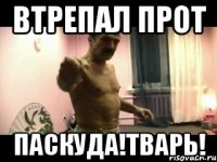 ВТРЕПАЛ ПРОТ ПАСКУДА!ТВАРЬ!