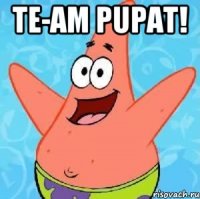 te-am pupat! 