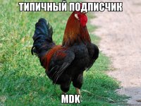 Типичный подписчик MDK