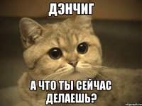 ДЭНЧИГ А что ты сейчас делаешь?