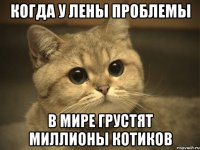 Когда у Лены проблемы В мире грустят миллионы котиков