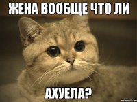 Жена вообще что ли Ахуела?