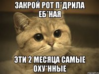 Закрой рот п*дрила еб*ная эти 2 месяца самые оху*нные