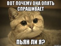 Вот почему она опять спрашивает пьян ли я?