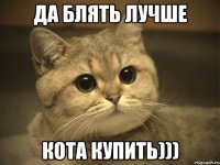 да блять лучше кота купить)))