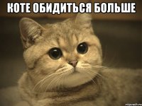 Коте обидиться больше 