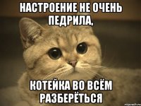 настроение не очень педрила, котейка во всём разберёться