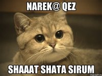 Narek@ qez shaaat shata sirum