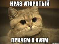 НРАЗ УПОРОТЫЙ ПРИЧЕМ К ХУЯМ