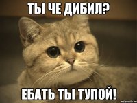 Ты че дибил? Ебать ты тупой!