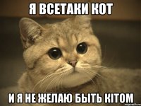 Я ВСЕТАКИ КОТ И Я НЕ ЖЕЛАЮ БЫТЬ КITОМ