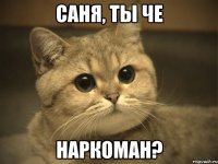 Саня, ты че Наркоман?