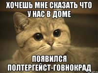 Хочешь мне сказать что у нас в доме появился полтергейст-говнокрад