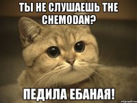 ТЫ не слушаешь the chemodan? педила ебаная!