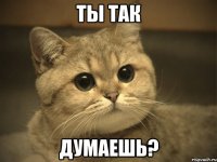 Ты так думаешь?