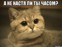 а не Настя ли ты часом? 