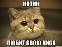 КОТИК ЛЮБИТ СВОЮ КИСУ