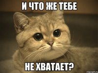 И что же тебе не хватает?