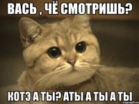 Вась , Чё смотришь? Котэ а ты? Аты а ты а ты