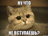 Ну что Не вступаешь?