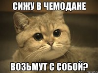 Сижу в чемодане Возьмут с собой?