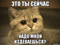 Это ты сейчас Надо мной издеваешься?