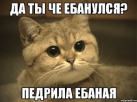 ДА ТЫ ЧЕ ЕБАНУЛСЯ? ПЕДРИЛА ЕБАНАЯ