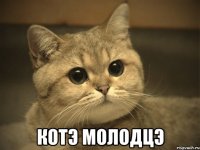  КОТЭ МОЛОДЦЭ