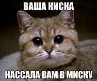 Ваша киска нассала вам в миску