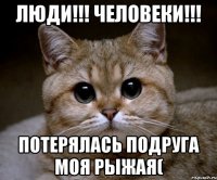 Люди!!! Человеки!!! Потерялась подруга моя рыжая(