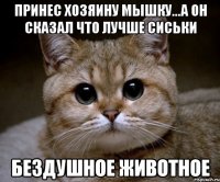 ПРИНЕС ХОЗЯИНУ МЫШКУ...А ОН СКАЗАЛ ЧТО ЛУЧШЕ СИСЬКИ БЕЗДУШНОЕ ЖИВОТНОЕ