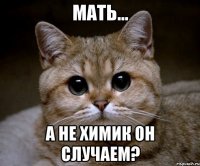 Мать... а не химик он случаем?