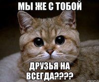 Мы же с тобой друзья на всегда????