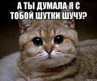 А ты думала я с тобой шутки шучу? 