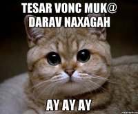 tesar vonc muk@ darav naxagah ay ay ay