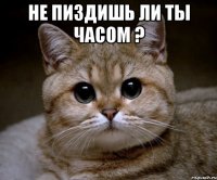 Не пиздишь ли ты часом ? 