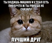 ты водишь машину и у тебя есть пиво?что ж ты раньше не сказал? лучший друг