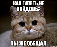 Как гулять не пойдешь? Ты же обещал