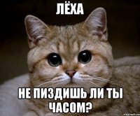 лёха не пиздишь ли ты часом?