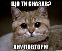 Що ти сказав? Ану повтори!