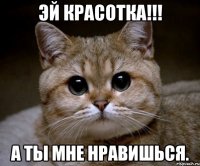 Эй красотка!!! А ты мне нравишься.