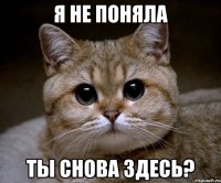 Я не поняла Ты снова здесь?