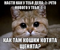 настя как у тебя дела:-):-)что нового у тебя:-):-) как там кошки котята щенята?