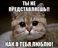 ты не представляешь!! как я тебя люблю!