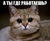 а ты где работаешь? 