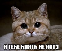  я тебе блять не котэ