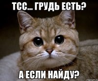 тсс... грудь есть? А если найду?