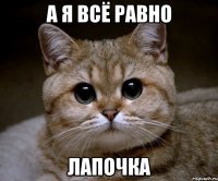 а я всё равно ЛАПОЧКА