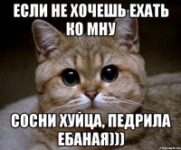 Если не хочешь ехать ко мну Сосни хуйца, педрила ебаная)))